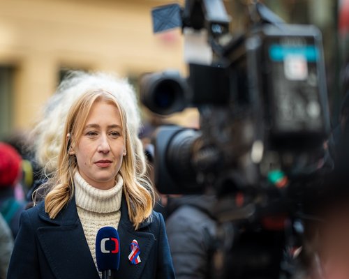 Ritratto della giornalista